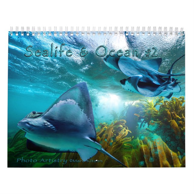 Calendrier SEALIFE AND OCEAN ART #2 Calendar (Protection)