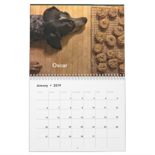 Calendrier Secteur 2019/2020 de chien