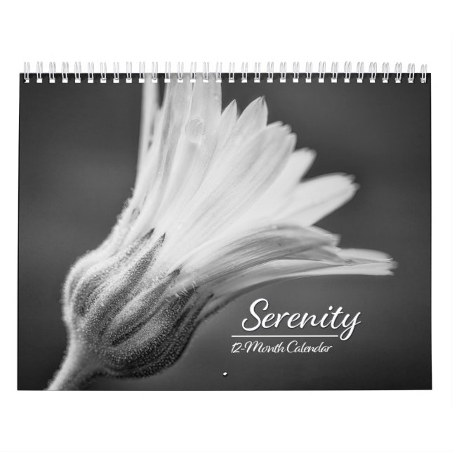 Calendrier Serenity 12 mois (Protection)