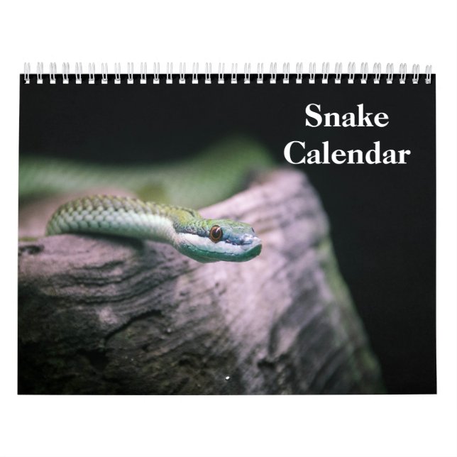 Calendrier Serpent 2026 (Protection)