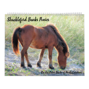 Calendrier Shackleford Banks Poney