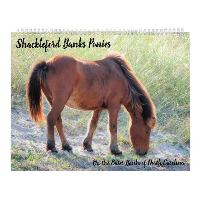Calendrier Shackleford Banks Poney (Protection)