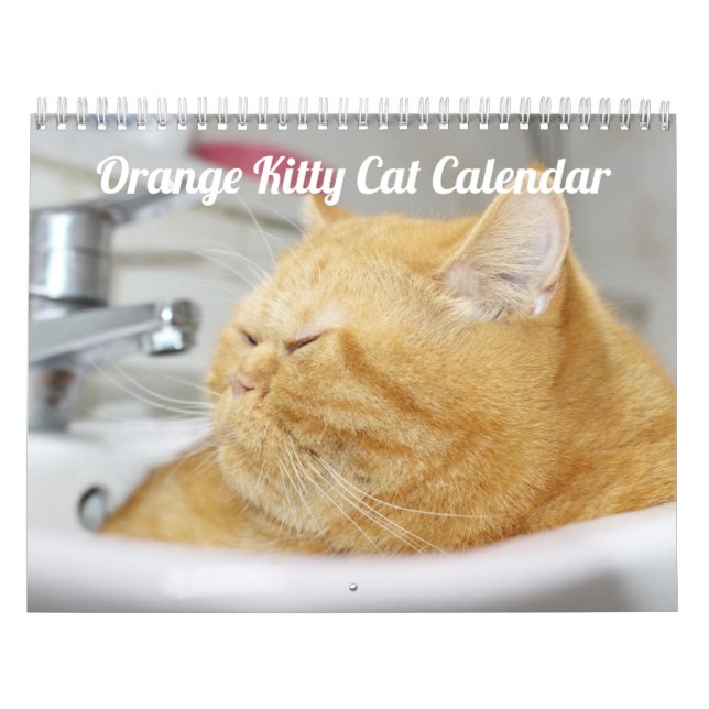 Calendrier Siamese Kitty Cat Cute 2021 (Protection)