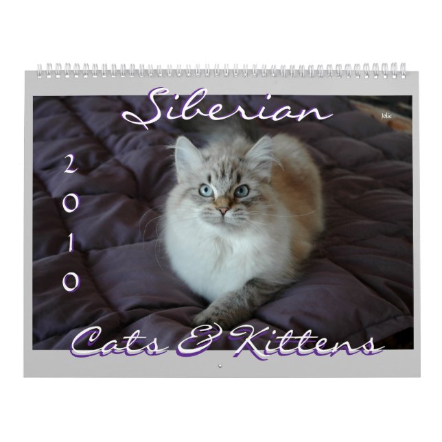 Calendrier sibérien B de chats et de chatons 2010 (Protection)