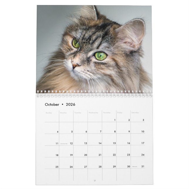 Calendrier Sibérien des chats 2019 (Oct 2026)