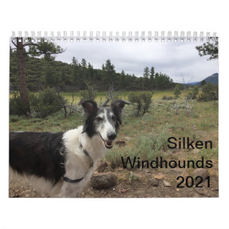 Calendrier Silken Windhounds 2021 Adultes 1