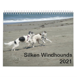 Calendrier Silken Windhounds 2021 - Amusement À La Plage