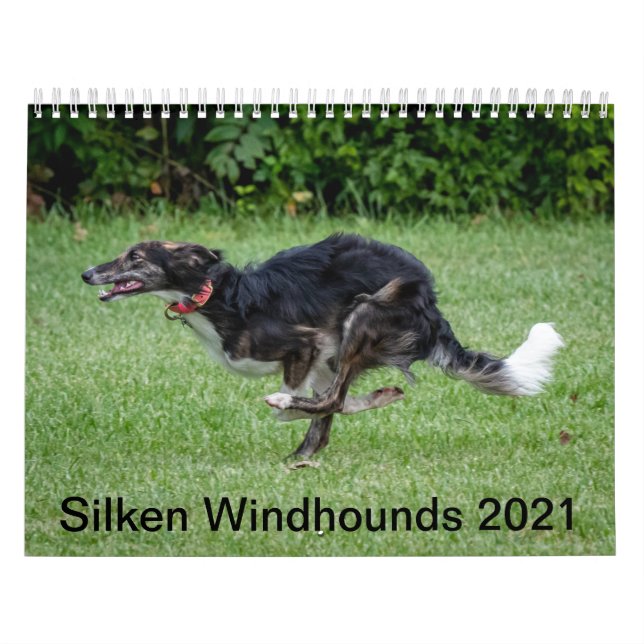 Calendrier Silken Windhounds 2021 en action (Protection)