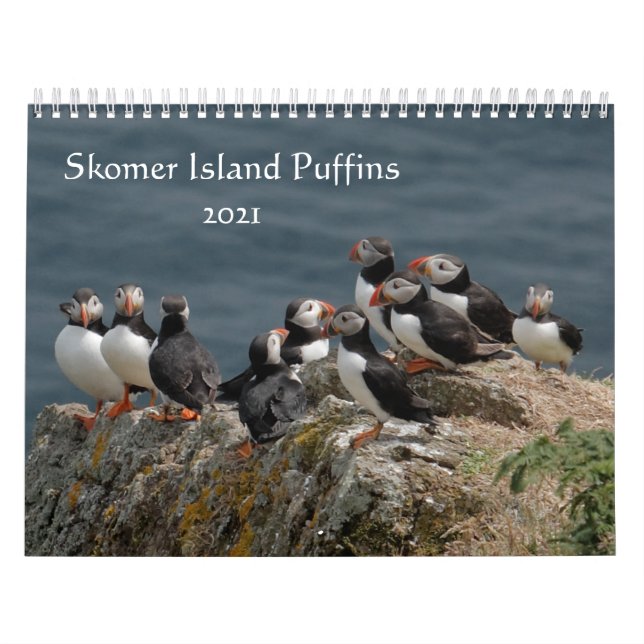 Calendrier Skomer Island Puffins 2021 Pays de Galles (Protection)
