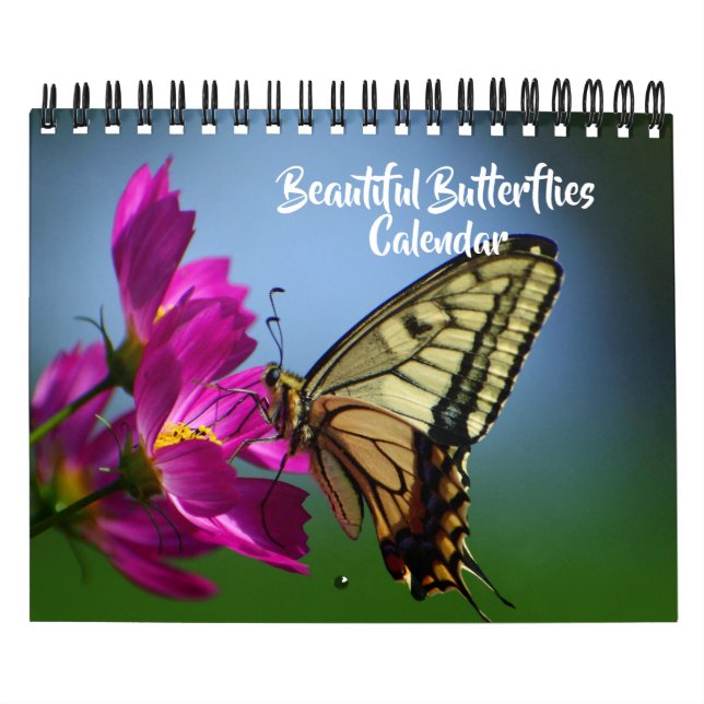 Calendrier Small Size Beautiful Butterflies Calendar (Protection)