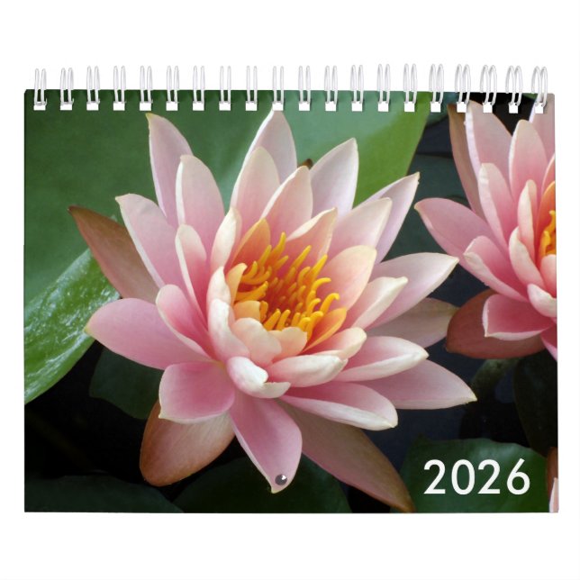 Calendrier Small Water Lilies Calendar 2026 (Protection)