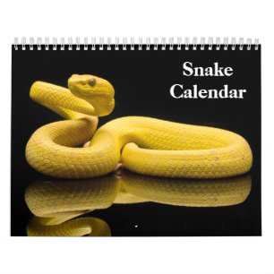 Calendrier Snake Calendar 2026