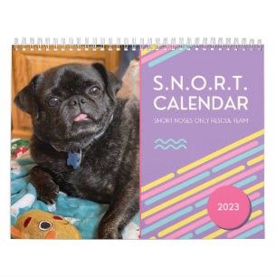 Calendrier SNORT 2023