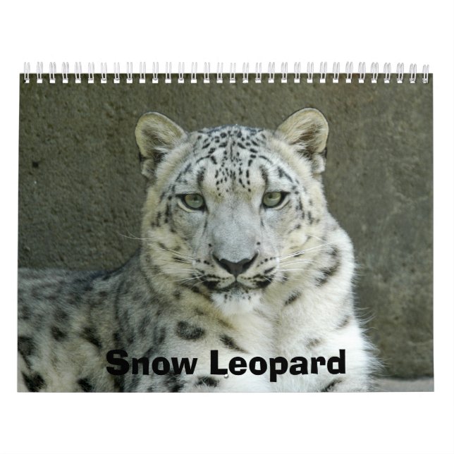 Calendrier SnowLeopardM002, léopard de neige (Protection)