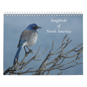 Calendrier Songeurs d'Amérique du Nord