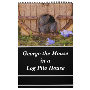 Calendrier Souris - George la souris dans une pile de billes 