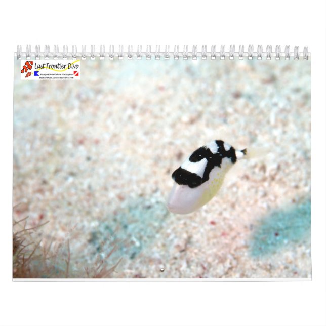 Calendrier Sous-marin de Siquijor taille S- L (Protection)