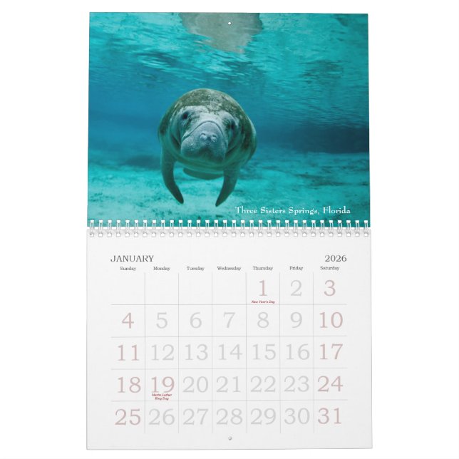 Calendrier sous-marin des voyages 2014 (Jan 2026)