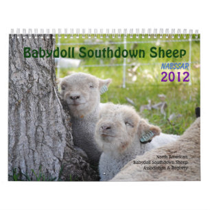 Calendrier Southdown des moutons 2012 NABSSAR de