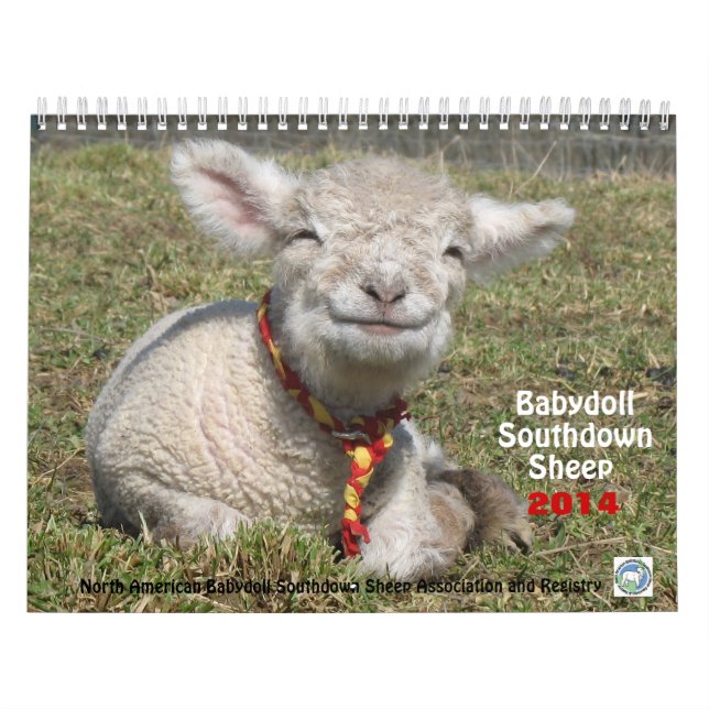 Calendrier Southdown des moutons 2014 NABSSAR de (Protection)
