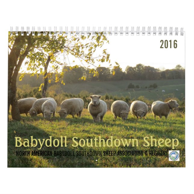 Calendrier Southdown des moutons 2016 NABSSAR de (Protection)