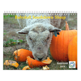 Calendrier Southdown des moutons 2019 NABSSAR de