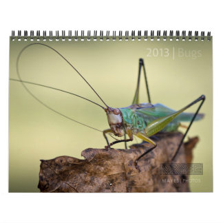 CALENDRIER "SPÉCIAL" DE 2013 INSECTES PAR DES
