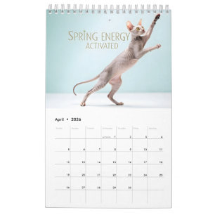 Calendrier Sphynx parle : Art humoristique mensuel de chat mo