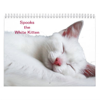 CALENDRIER SPOOKS LE CHATON BLANC - CALLENDER