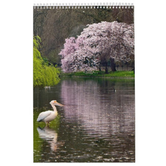 Calendrier St James's Park, Londres 