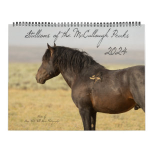 Calendrier Stallions des pics McCullough