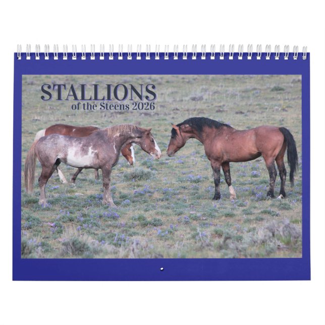 Calendrier "Stallions" MustangWild 2026 Calendar (Protection)