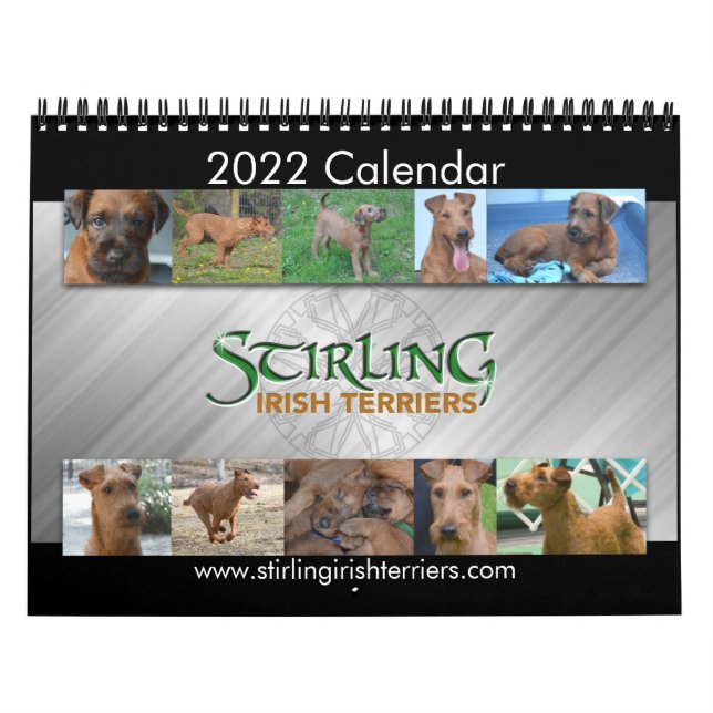 Calendrier Stirling Irish Terriers 2022 (Protection)