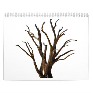 Calendrier Structure de l'arborescence