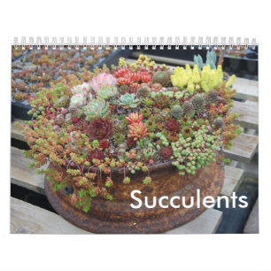 Calendrier succulent