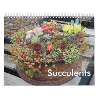 Calendrier succulent