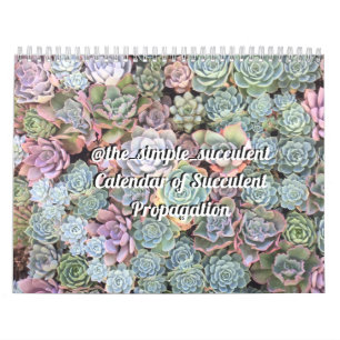 Calendrier succulent coloré de propagation
