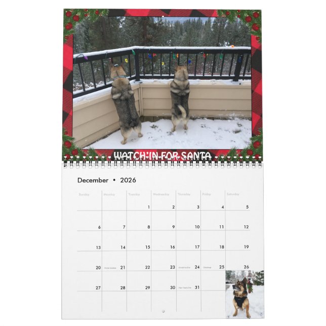 Calendrier suédois Vallhund (Dec 2026)