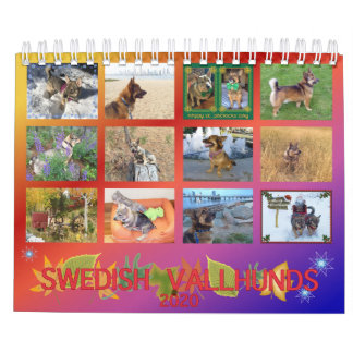 Calendrier suédois Vallhund 2020