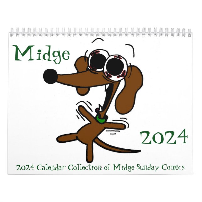 Calendrier "Sunday Comics" 2024 (Protection)