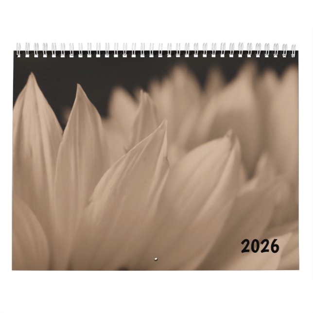 Calendrier Sunflower Petals in Sepia Tone  (Protection)
