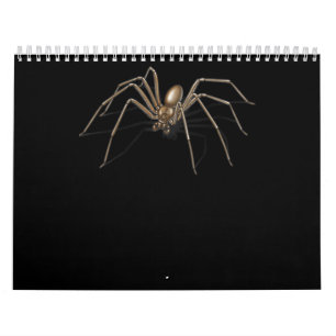 Calendrier Super drôle Araignée d'horreur Costumes d'Hallowee