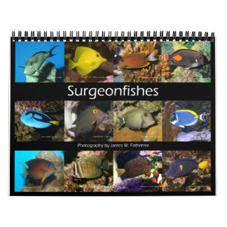 Calendrier Surgeonfish Wall Calendar de J.W. Patrie.