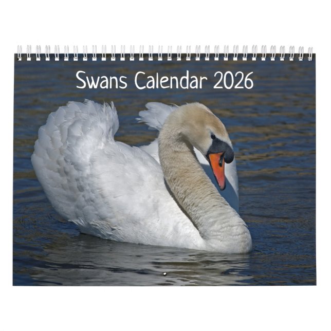 Calendrier Swans (Protection)