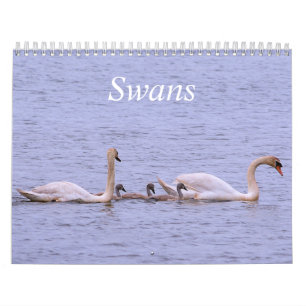 Calendrier Swans