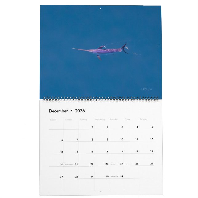 Calendrier Swordfish Only Calendar 2026 (Dec 2026)