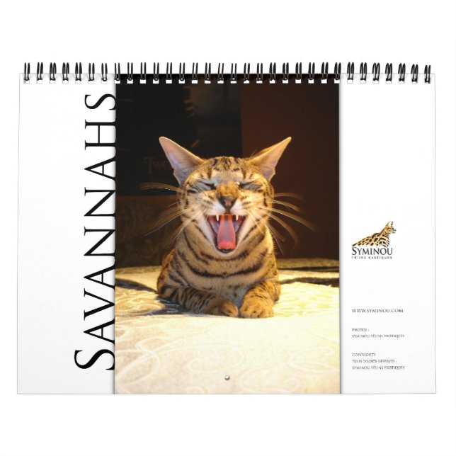 Calendrier Syminou 2018 Savannah Cat (Protection)