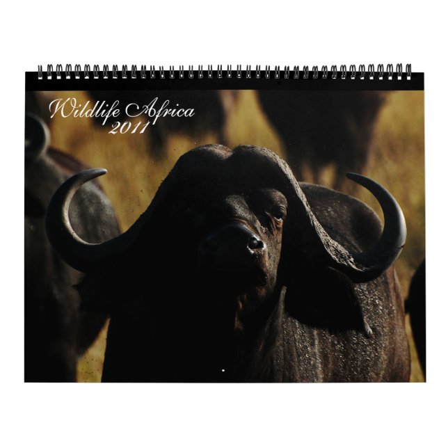 Calendrier Taille énorme de 2011 animaux africains de (Protection)