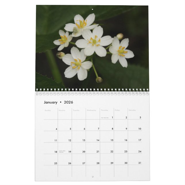 Calendrier Tennessee Fleur sauvage 2013 (Jan 2026)