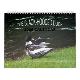 CALENDRIER THE BLACK-HOODED DUCK 2026 CALENDAR